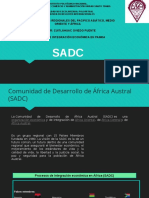 Procesos de Integraci N Econ Mica en PAMOA SADC 1