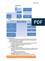 Tema 13 Diabetes