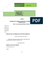 Estructura Del Trabajo Grupal-Comunicación I