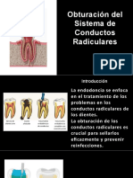 Obturación Del Sistema de Conductos Radiculares