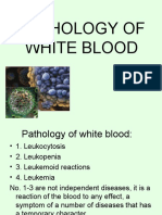 патология белой крови