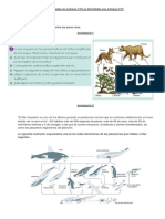 Actividades Sin Enfoque CTS Vs Actividades Con Enfoque CTS