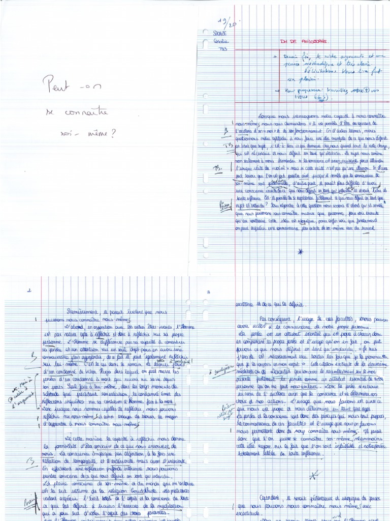 Dissertation Connaissance de Soi Ts19 PDF