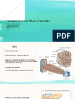 Patologias de Las Vias Biliares y Pancreatitis