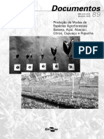 Produção de Mudas de Espécies Agroflorestais: Banana, Açaí, Abacaxi, Citros, Cupuaçu e Pupunha