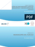 MODULO 3. Microscopia Del Floculo