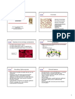 Thalassaemia Hereditary Haem Disorders