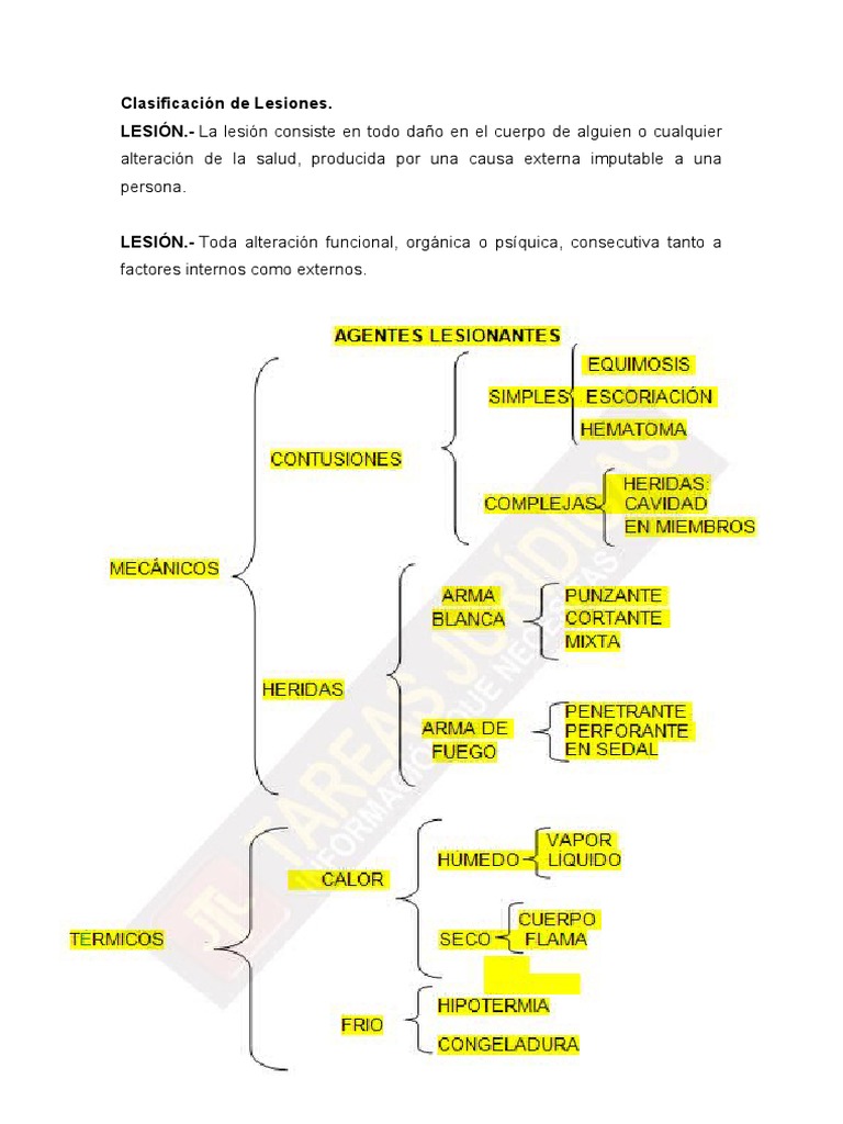 clasificaci-n-de-lesiones-pdf-medicina-clinica-especialidades-medicas