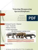 Protecting Disappearing Species (Elelphant) : Presented by Shin Min Min Phyo Phoo Thandar Khine Thet Htet San (Holly)