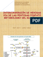 Pentosas Fosfato, Metabolismo Del Glucógeno 2011