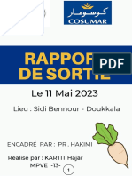 Rapport Sortie Cosumar