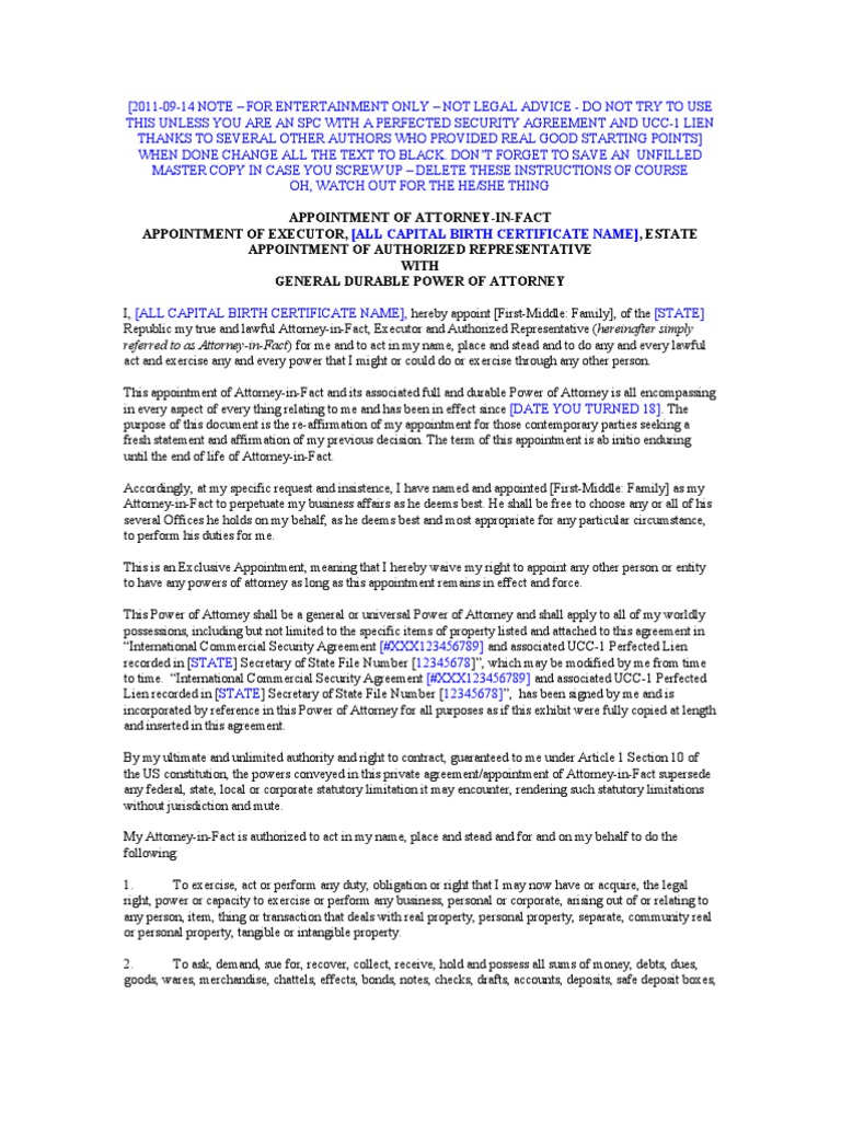 Power of Attorney Appointment Document | PDF | Power Of Attorney ...