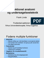 Funktionel Anatomi Og Undersøgelsesteknik: Frank Linde Fod/ankel-Sektoren