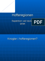 Hofteregionen