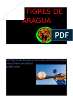Los Tigres de Aragua