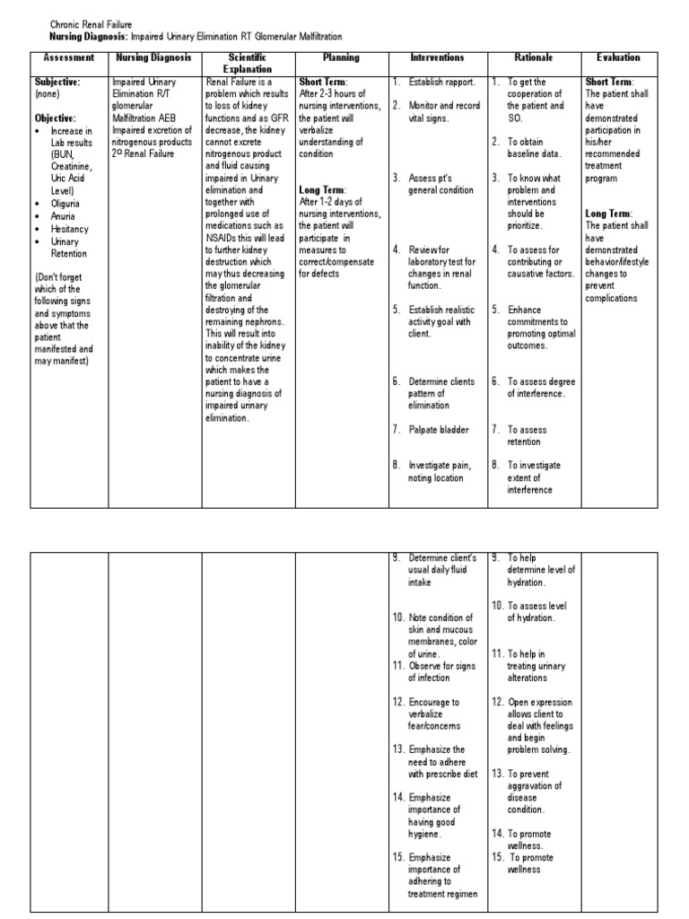 NCP Impaired Urinary Elimination CRF | Urinary System | Renal Function