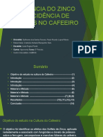 Seminario Receituário Agronômico 1