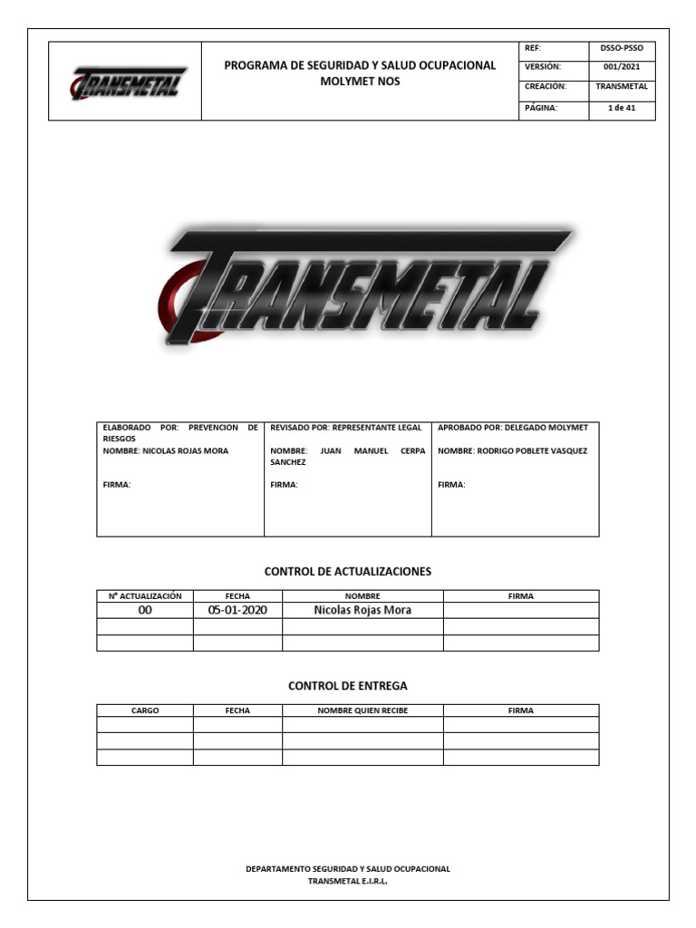 Dsso Psso Molymet2021 | PDF | Seguridad y salud ocupacional