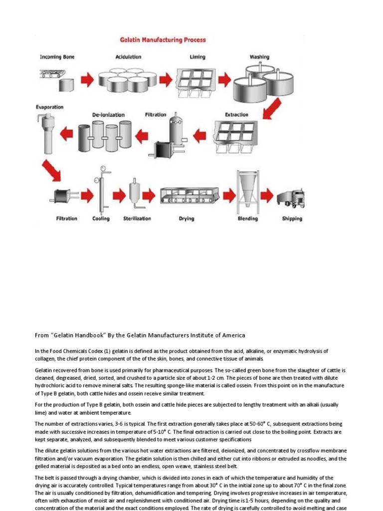 Gelatin Process Diagram & Description PDF