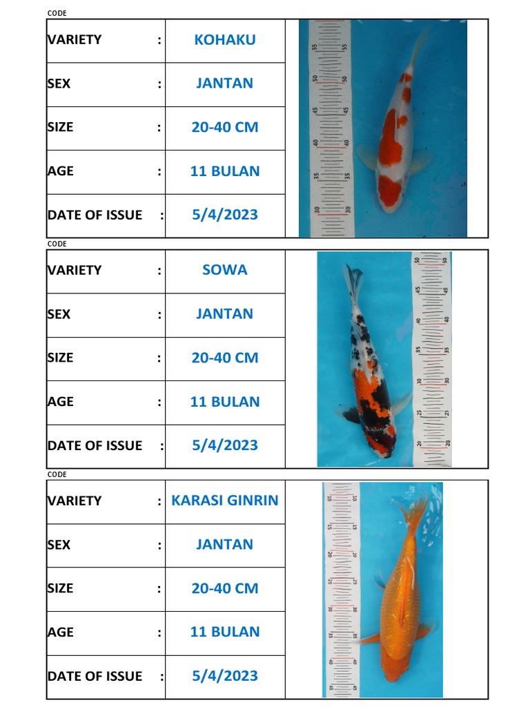Katalog Koi | PDF | Social Science | Lifestyle