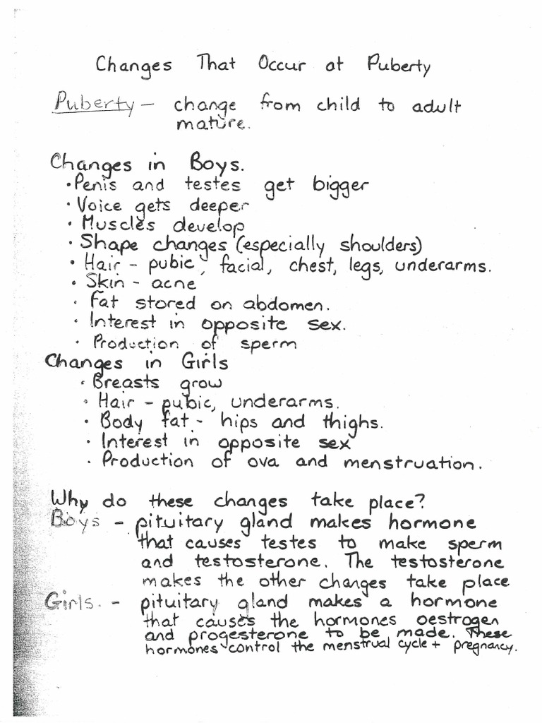 Changes during puberty | PDF
