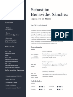 Curriculum Sebastián Benavides Sánchez - 18.766.622-8