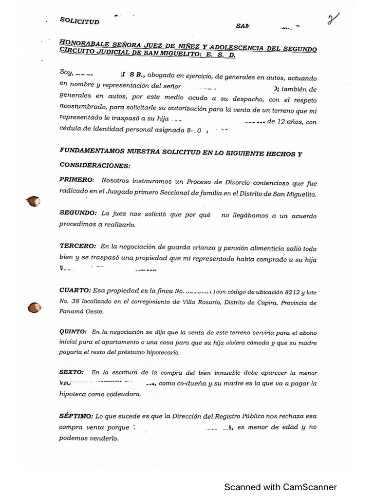 modelo-de-demanda-en-panam-pdf
