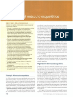 Seminario 10 - Músculo Liso y Esquelético