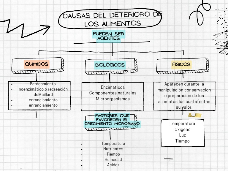 Causas Del Deterioro de Alimentos NELSON CASTRO | PDF