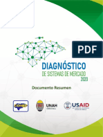 Resumen DSM2020