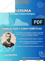 YERSINIA