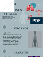 Copia de Science Subject For High School - 9th Grade - Vital Body Organs by Slidesgo