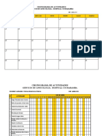 Cronograma Actividades Zulma 2023