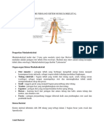 Anatomi Fisiologi Sistem Muskuloskeletal-62600691