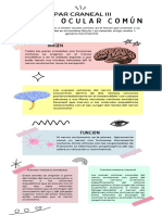 Infografía Par Craneal Motor Ocular Común