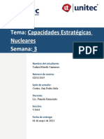 Tarea 3.1 Capacidades Estrategicas Nucleares YadiraCantarero 620111045