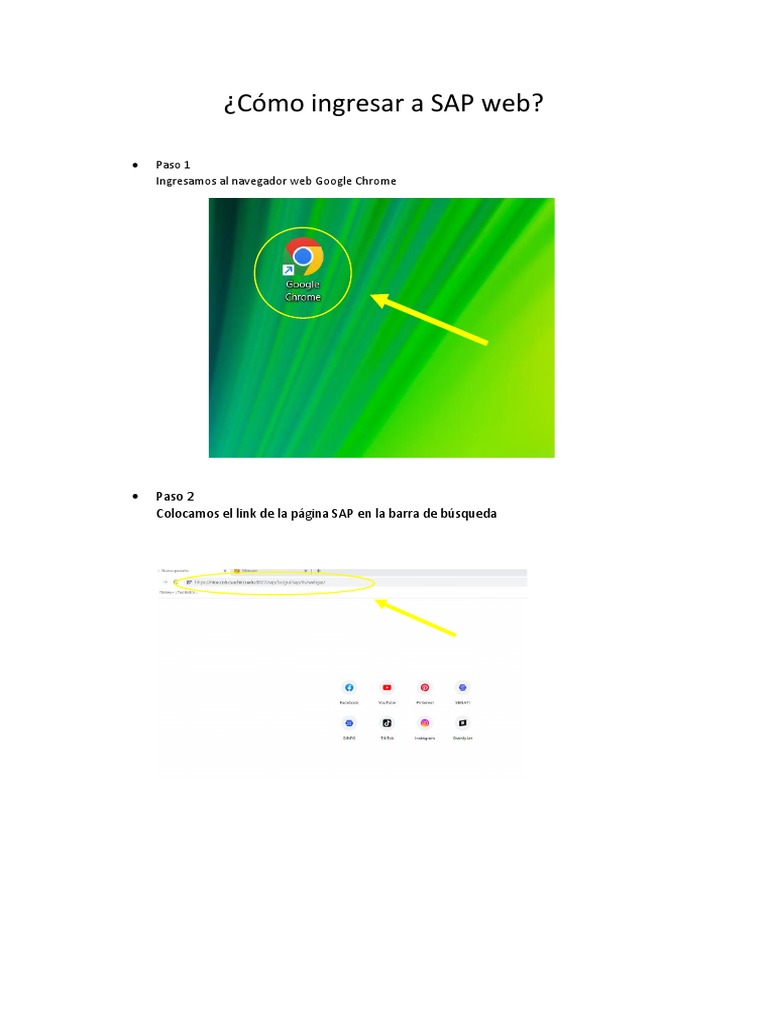 C mo ingresar a sap web l pdf