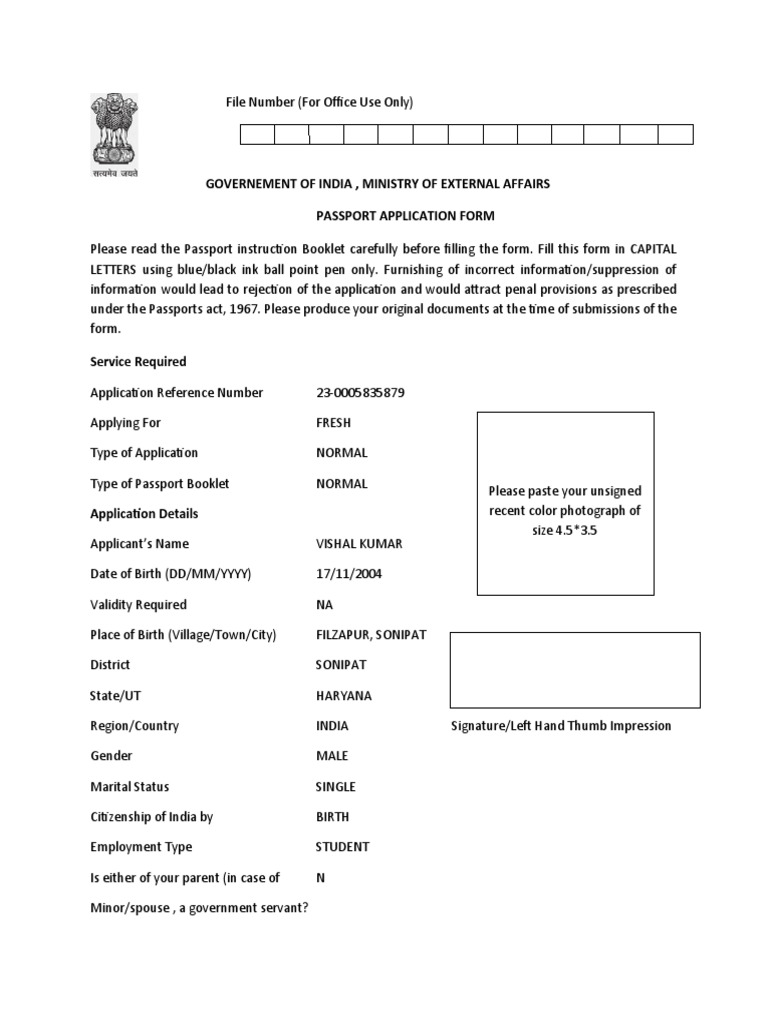 Passport File PDF Passport International Law