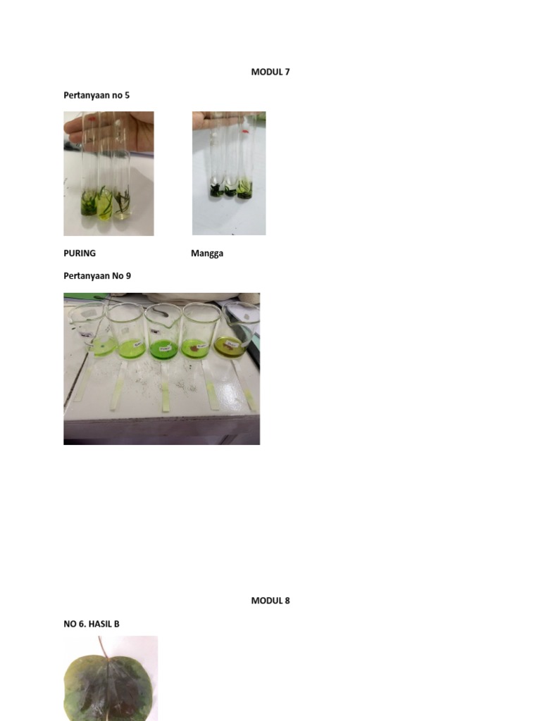 Gambar Di Jurnal | PDF