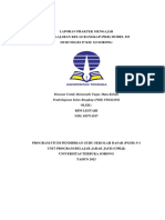 Laporan PKR Model 222 Oleh Rini Lestari PDF