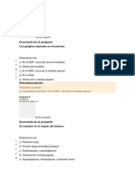 FAF Segundo Parcial