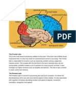 Ana Physio of Brain