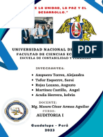 Informe Nias 200 - 210 - 220 - Grupo 1