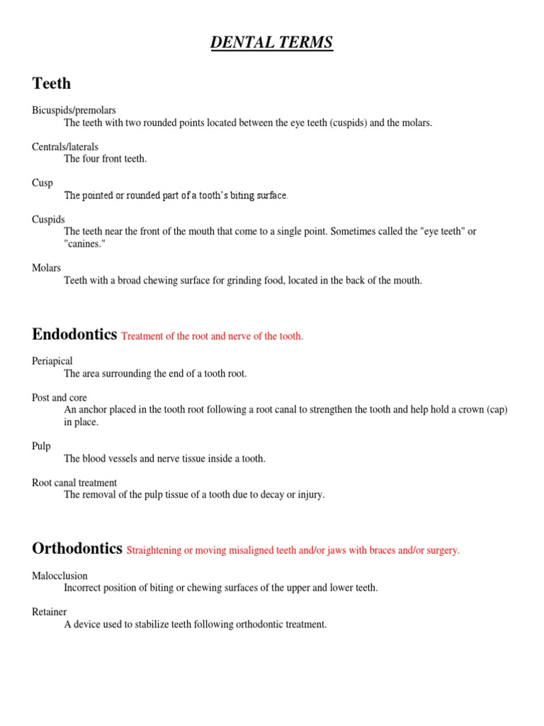 Dental Terms PDF
