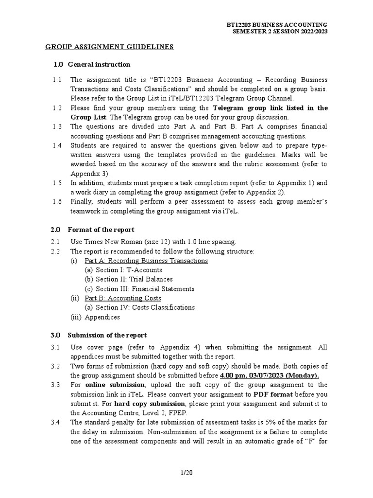 Business Accounting Group Assignment Guide | PDF | Debits And Credits ...