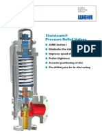 Sarasin RSBD Starsteam Flye