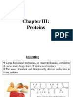Chapter III Proteins