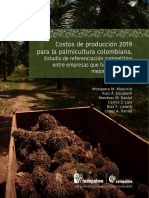 Costos Palma de Aceite en Colombia 2019
