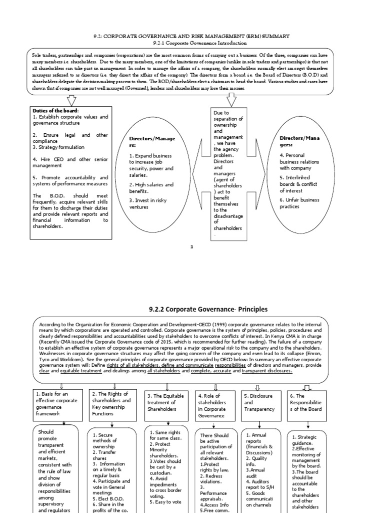 Corporate Governance & Risk Management Guide | PDF