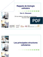 10 - Cycle Et Senescence Diff Et Mort Cellulaire Cours 2022